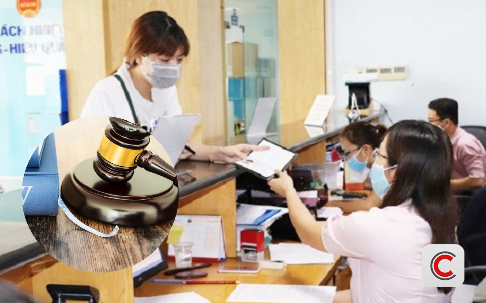 Nợ tiền thuế đất nhiều năm có bị cưỡng chế không? Cục Thuế trả lời rõ - Ảnh 1.