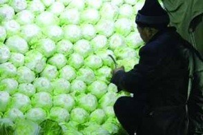 5 dấu hiệu nhận biết rau cải chứa Formaldehyde, người th&ocirc;ng th&aacute;i kh&ocirc;ng bao giờ mua- Ảnh 1.