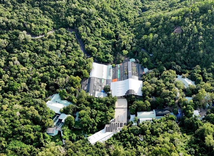 &Ocirc;ng Vương Tấn Việt, trụ tr&igrave; ch&ugrave;a Phật Quang kiện đ&ograve;i hơn 71.000m2 đất - Ảnh 1.