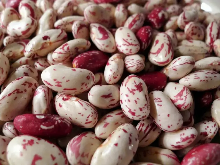 5 thực phẩm m&agrave; chuy&ecirc;n gia về sống thọ ăn h&agrave;ng ng&agrave;y- Ảnh 3.