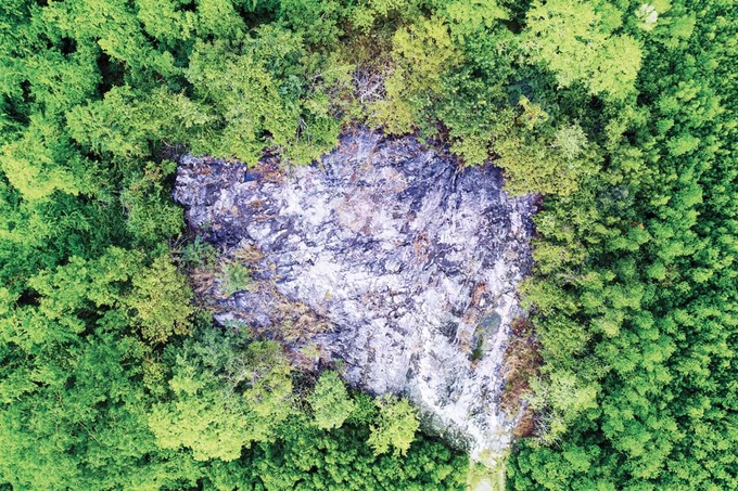 Ngọn núi ở TP.HCM cao chỉ hơn 10m: Được ví như "núi dễ leo nhất Việt Nam", xung quanh là hệ sinh thái hiếm có - Ảnh 2.