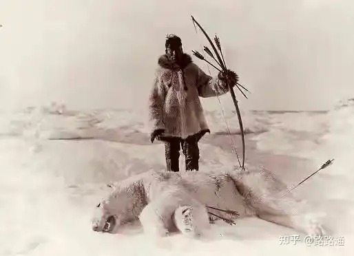 V&igrave; sao người Eskimo vẫn ăn thịt sống giữa Bắc Cực khắc nghiệt suốt h&agrave;ng ngh&igrave;n năm? - Ảnh 5.