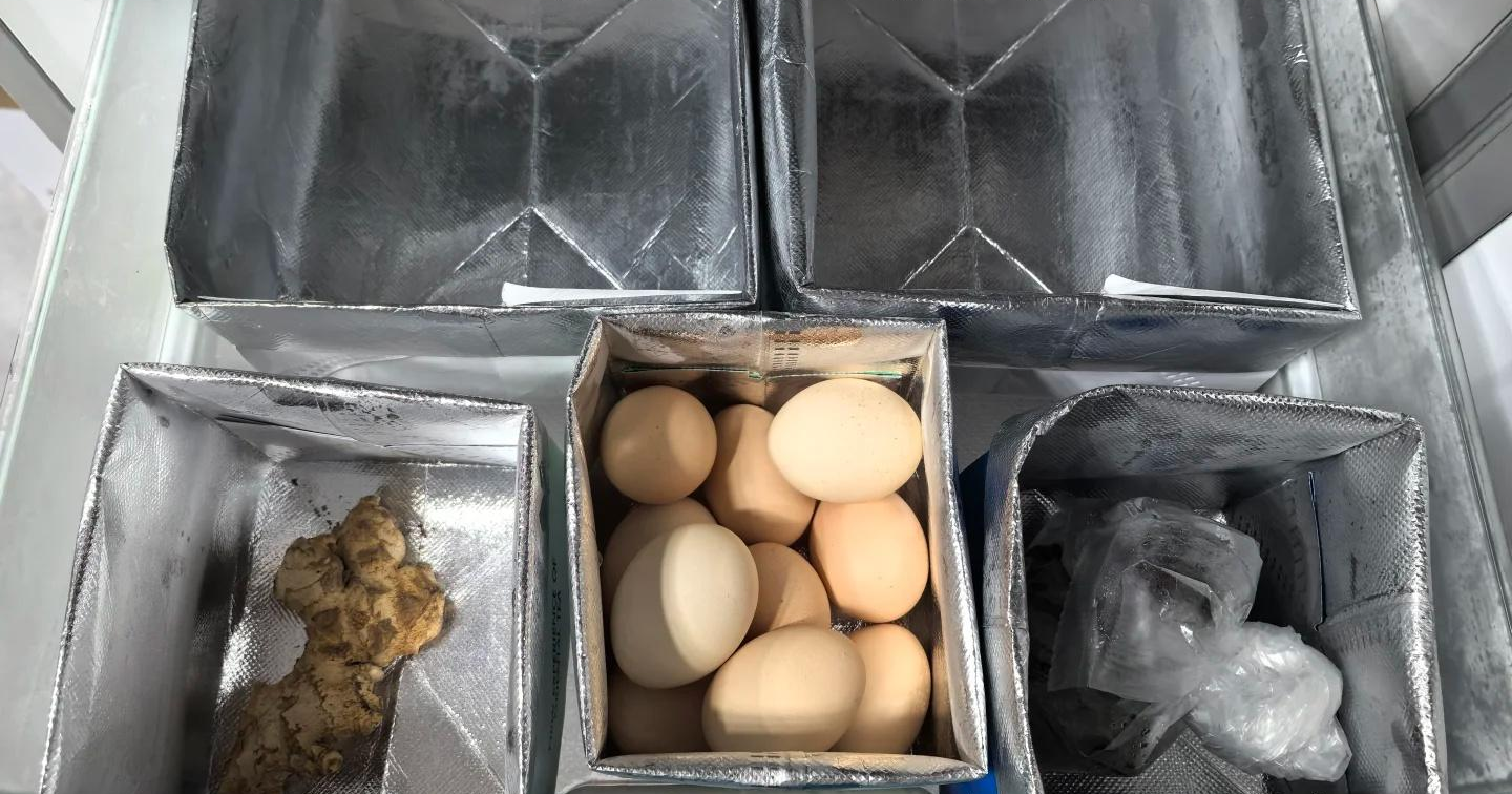 Người phụ nữ 50 tuổi khiến t&ocirc;i "đứng h&igrave;nh": Nh&agrave; gọn g&agrave;ng, sống đủ đầy m&agrave; gần như kh&ocirc;ng tốn tiền - Ảnh 4.