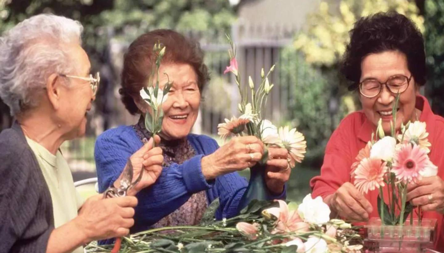 Sau nghỉ hưu, cả tin khi tham gia c&aacute;c nh&oacute;m người cao tuổi: C&aacute;i gi&aacute; phải trả kh&ocirc;ng hề nhỏ- Ảnh 4.