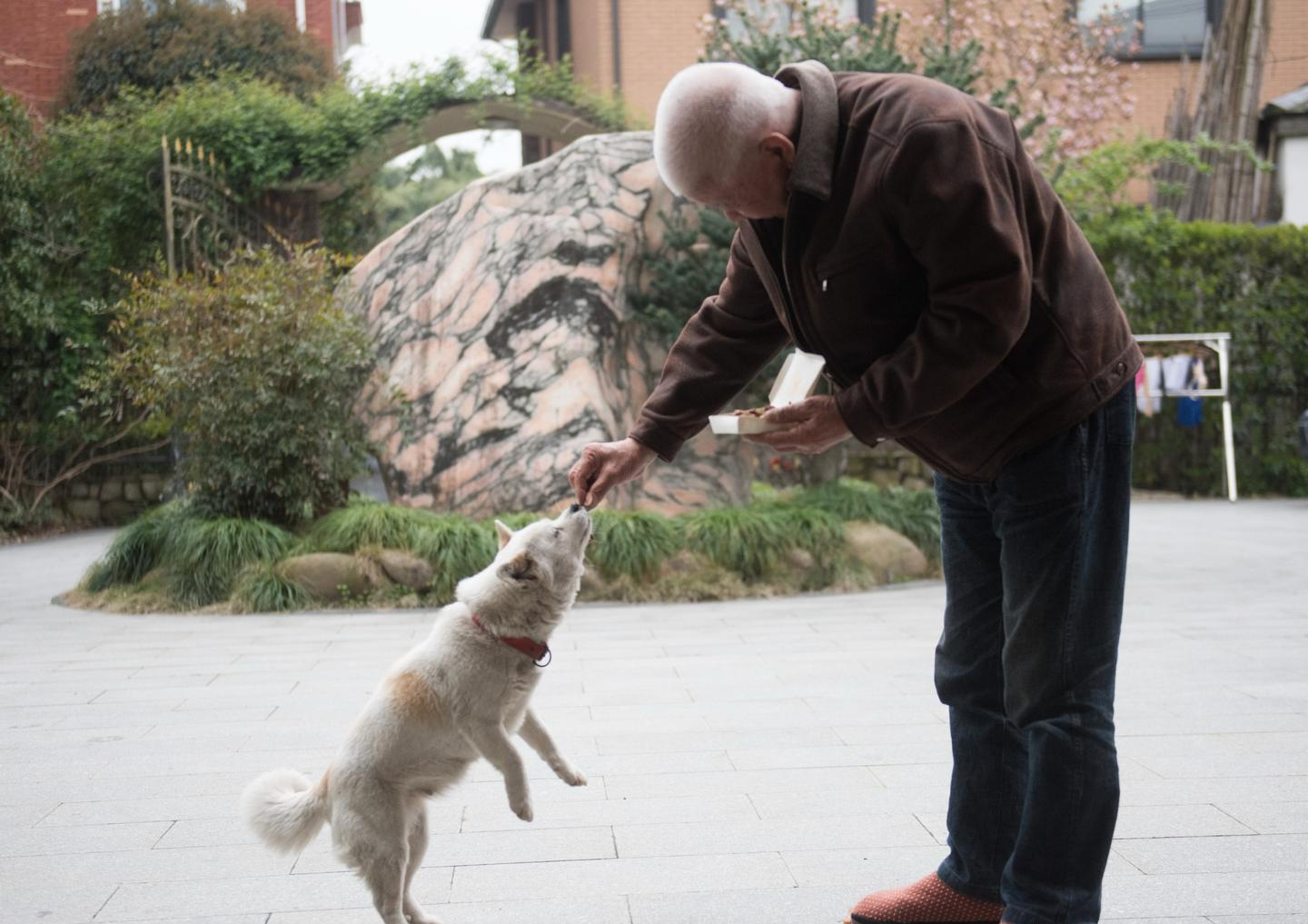 Sau nghỉ hưu, cả tin khi tham gia c&aacute;c nh&oacute;m người cao tuổi: C&aacute;i gi&aacute; phải trả kh&ocirc;ng hề nhỏ- Ảnh 5.