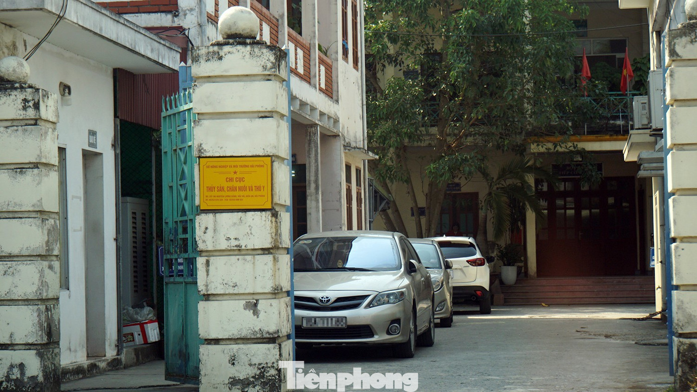 Vụ lợn dịch tại C&ocirc;ng ty Đồ hộp Hạ Long: Tạm giữ c&aacute;n bộ kiểm dịch Nhận hối lộ - Ảnh 1.