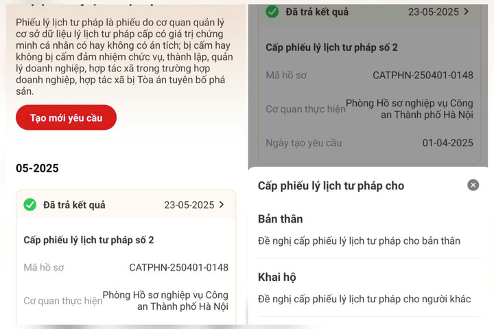 3 Bước đơn giản y&ecirc;u cầu cấp phiếu l&yacute; lịch tư ph&aacute;p online tr&ecirc;n ứng dụng VNeID - Ảnh 3.