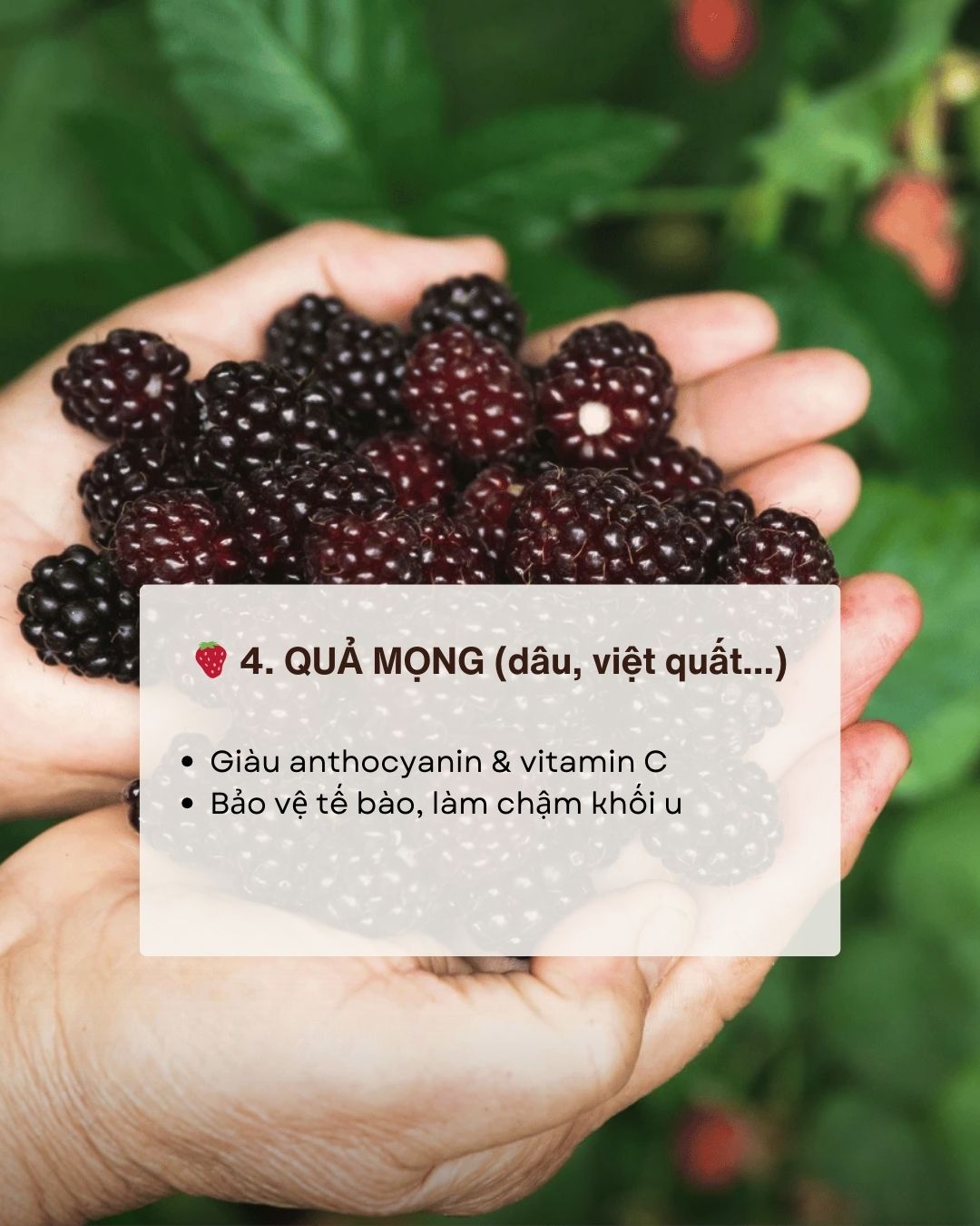 Kh&ocirc;ng phải thuốc bổ nhưng ăn đ&uacute;ng 7 thực phẩm n&agrave;y gi&uacute;p giảm nguy cơ ung thư "từ gốc" - Ảnh 5.