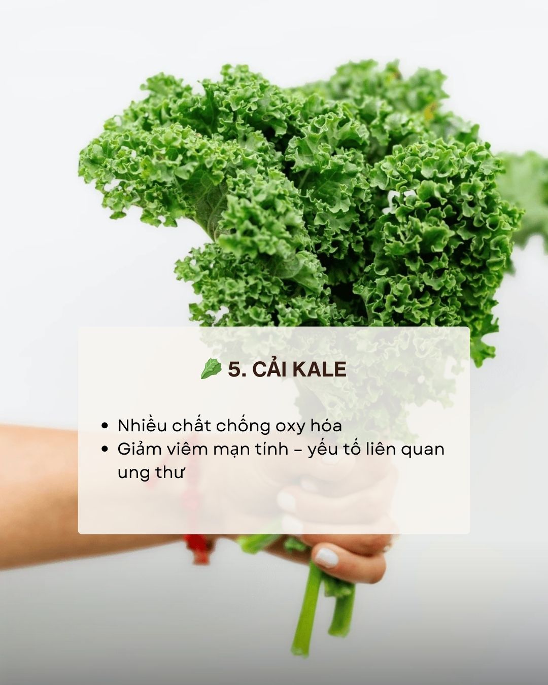 Kh&ocirc;ng phải thuốc bổ nhưng ăn đ&uacute;ng 7 thực phẩm n&agrave;y gi&uacute;p giảm nguy cơ ung thư "từ gốc" - Ảnh 6.