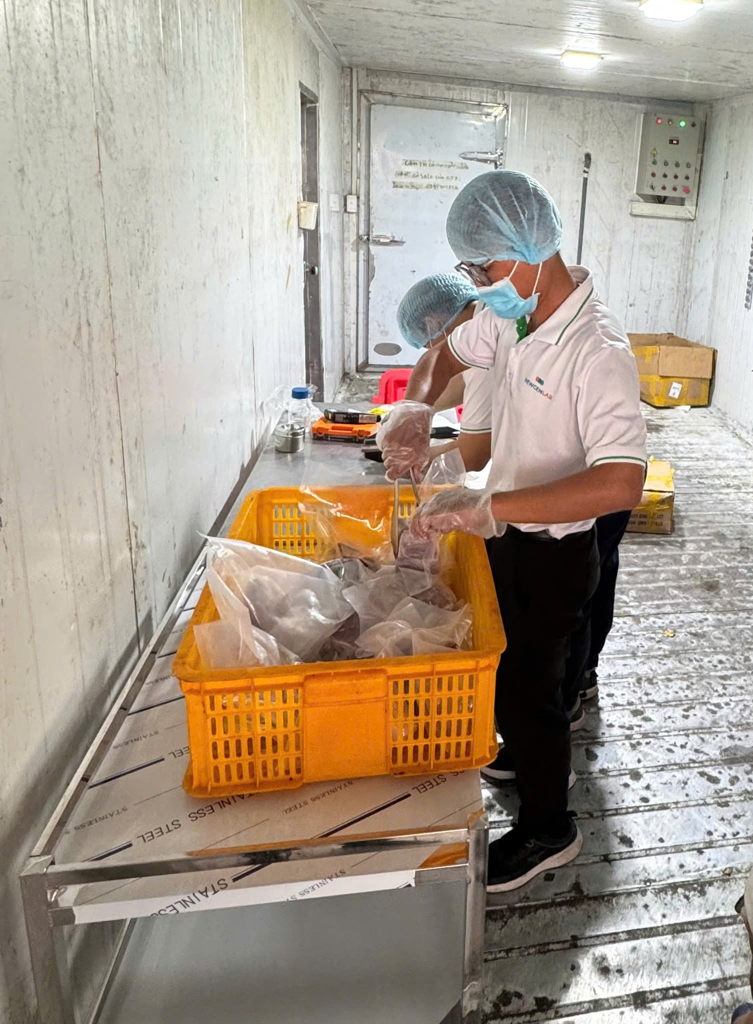 Cận cảnh kho thịt heo "đội lốt" đà điểu, dê, nai, nhím tuồn ra thị trường vừa bị triệt phá- Ảnh 10.