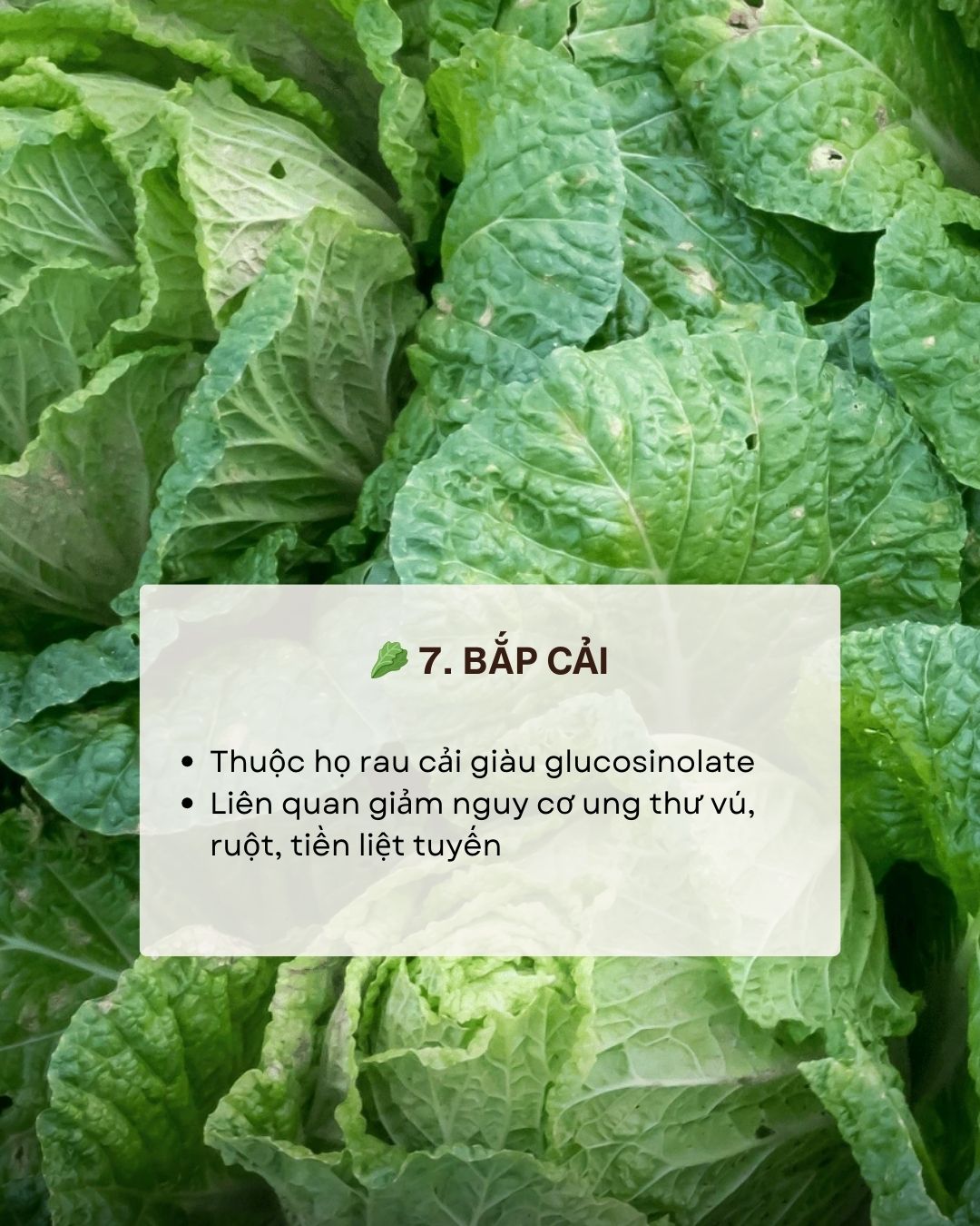 Kh&ocirc;ng phải thuốc bổ nhưng ăn đ&uacute;ng 7 thực phẩm n&agrave;y gi&uacute;p giảm nguy cơ ung thư "từ gốc" - Ảnh 8.