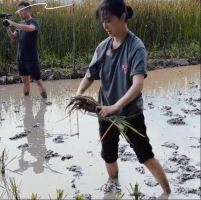 Hết cứu Phạm Băng Băng- Ảnh 6.