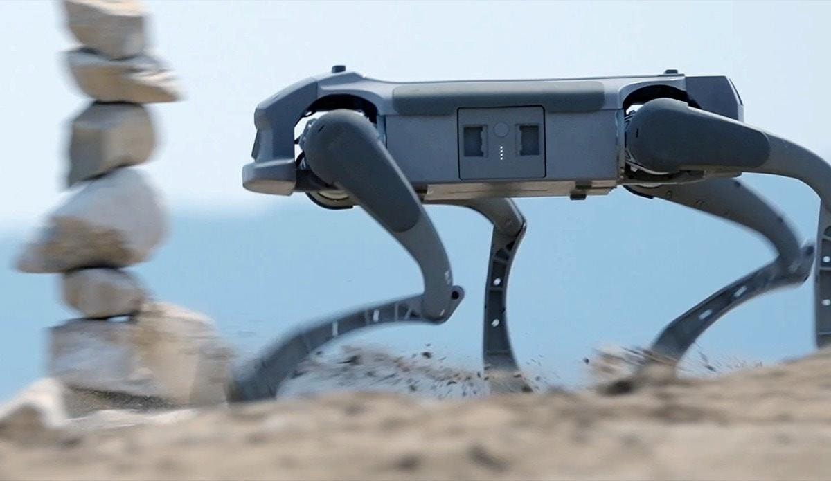 AMC Robotics mở rộng sản xuất ch&oacute; robot tại Việt Nam , một bước đi chiến lược mới - Ảnh 1.