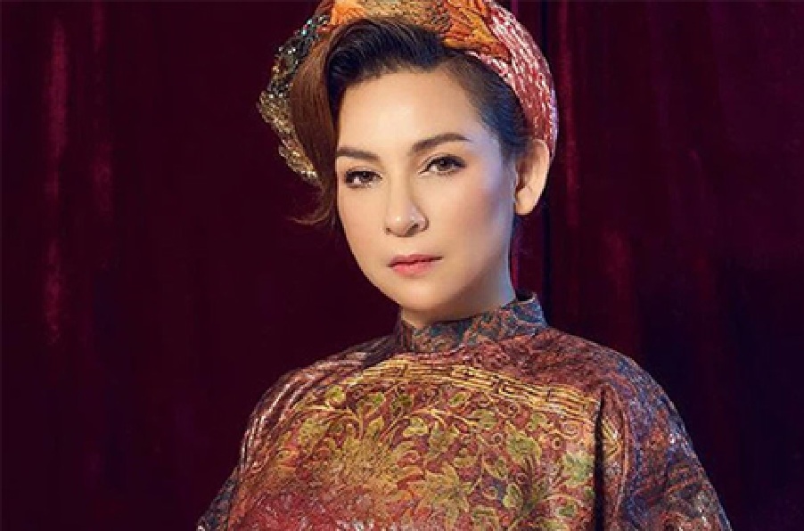 Nữ danh hài cả nước biết mặt xin lỗi Phi Nhung- Ảnh 2.