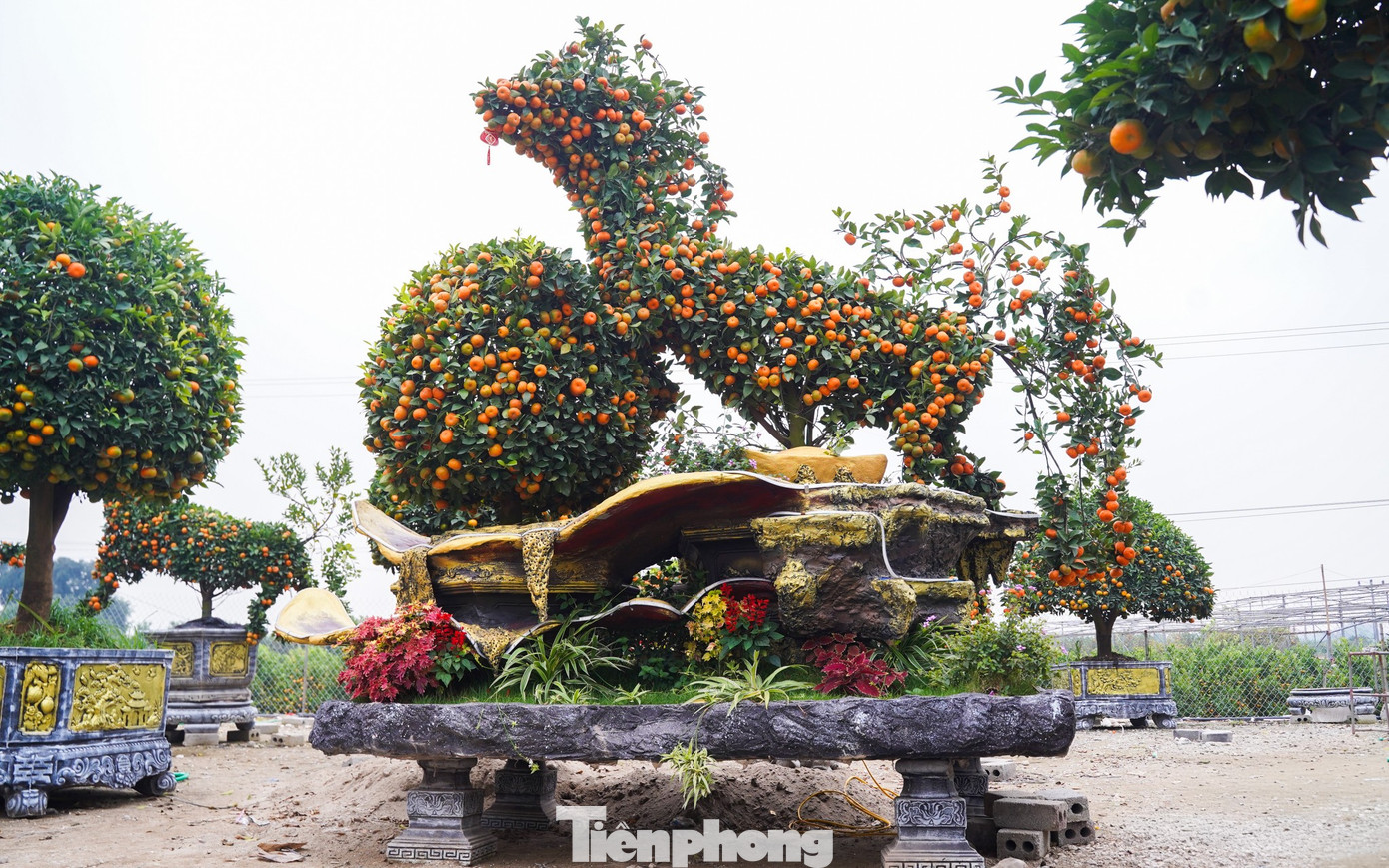 Qu&yacute;t h&igrave;nh ngựa Độc lạ gi&aacute; h&agrave;ng chục triệu đồng tại thủ phủ c&acirc;y cảnh Hưng Y&ecirc;n - Ảnh 5.