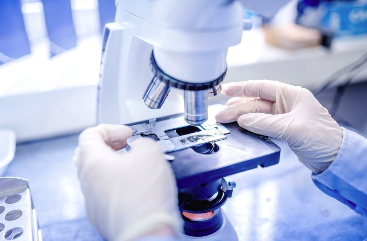 Xet Nghiem Adn 1768546719521 1768546719991241470550