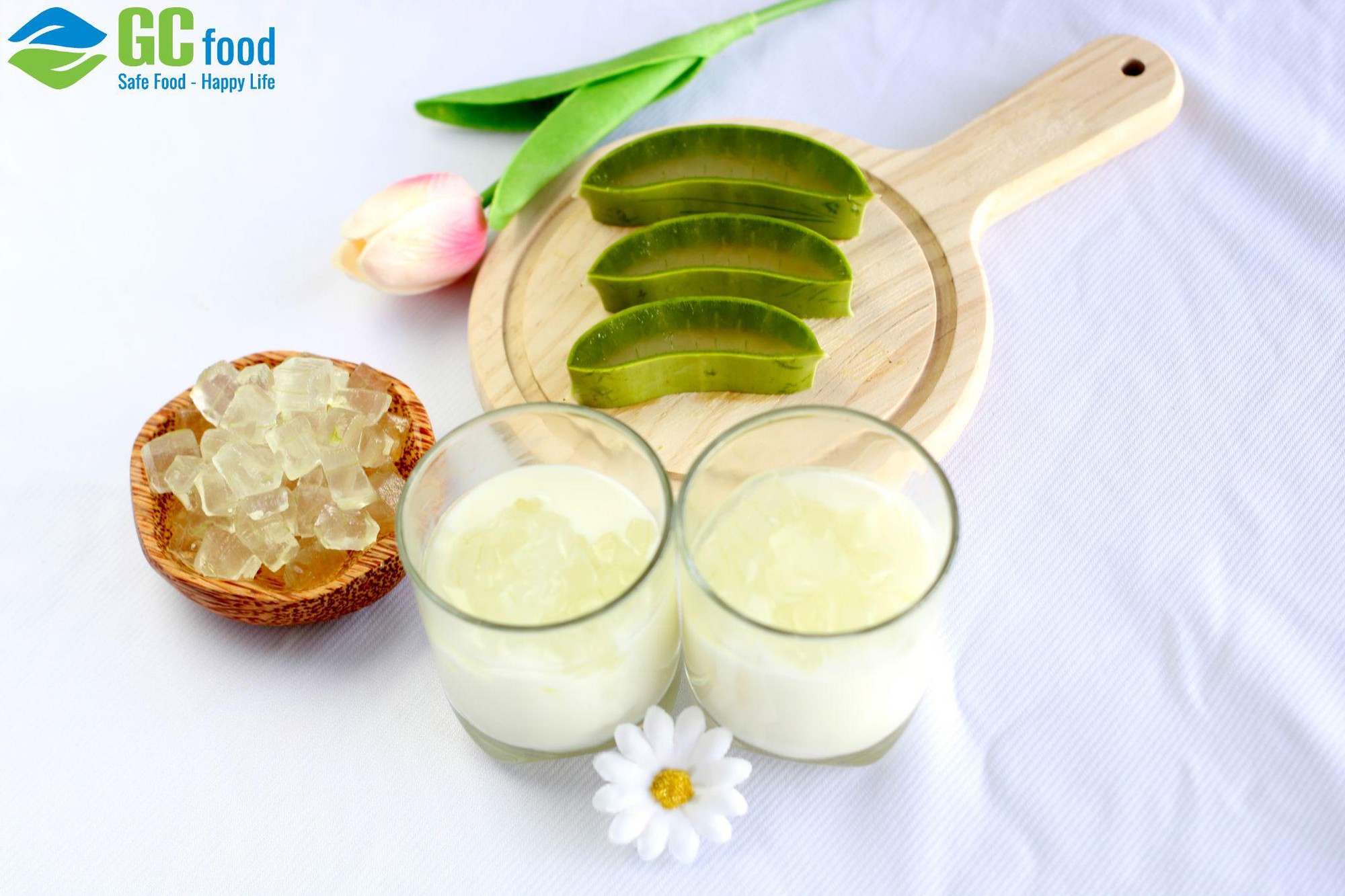 Tìm hiểu về nha đam: Công dụng, cách dùng và những điều cần lưu ý - Ảnh 1.