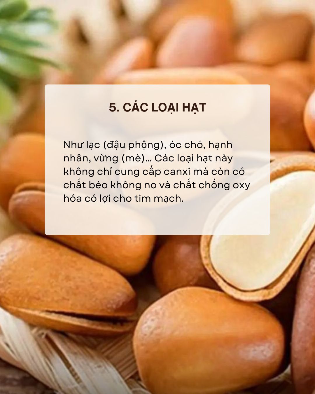 Sau 30 tuổi, xương bắt đầu yếu đi, nhiều người thiếu canxi m&agrave; kh&ocirc;ng biết: 8 thực phẩm gi&agrave;u canxi người Việt đang ăn sai- Ảnh 5.