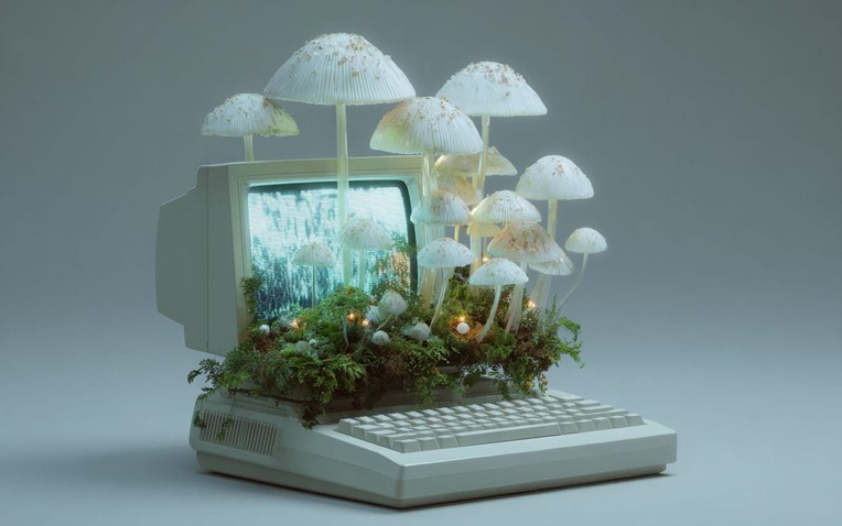 Mushroom Computer 1200X800 1768662147371947228521 21 0 771 1200 Crop 17686621578952131089867 1768725213840 176872521409122926216