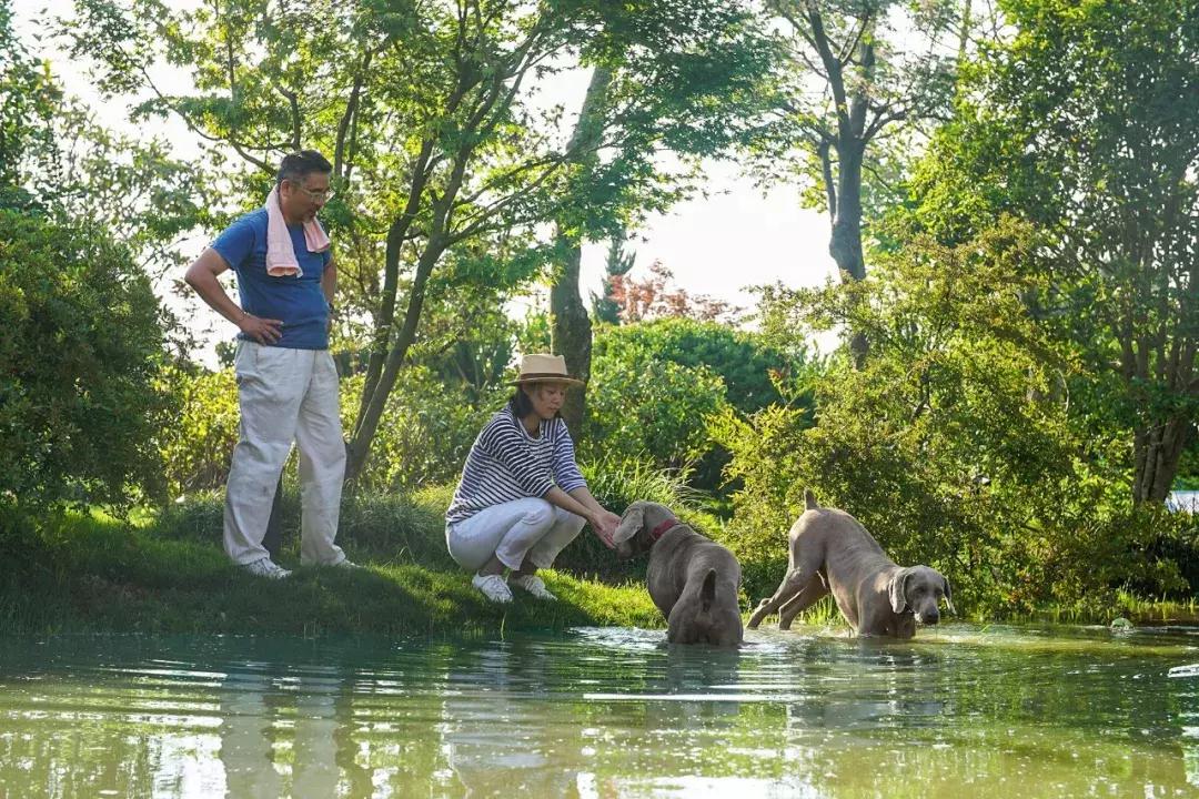Rời trung tâm thành phố, sống nhà vườn ở ngoại ô: Câu chuyện của 3 gia đình và bài toán tiết kiệm tiền khiến nhiều người giật mình- Ảnh 2.