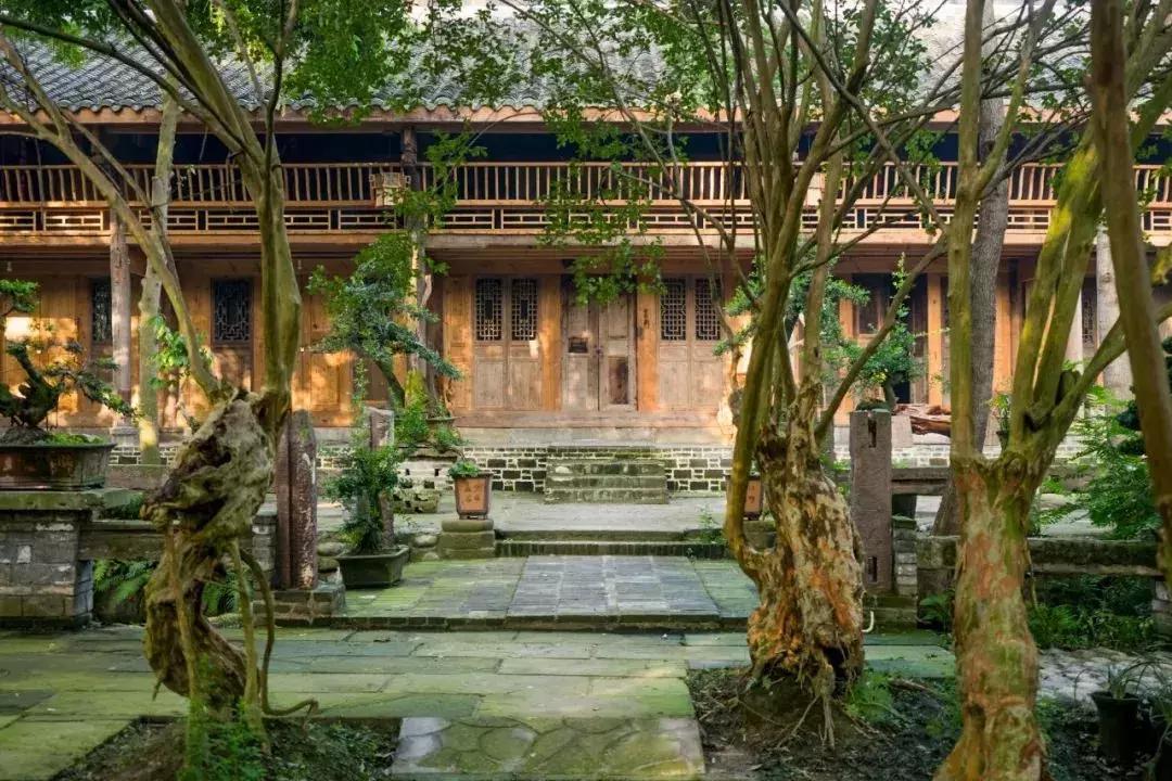 Rời trung tâm thành phố, sống nhà vườn ở ngoại ô: Câu chuyện của 3 gia đình và bài toán tiết kiệm tiền khiến nhiều người giật mình- Ảnh 4.