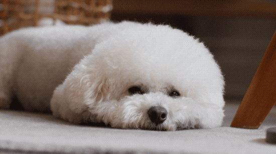 Bỏ 75 triệu/th&aacute;ng thu&ecirc; nh&agrave;, kh&ocirc;ng kết h&ocirc;n: Người phụ nữ 37 tuổi chọn "an to&agrave;n t&agrave;i ch&iacute;nh" theo c&aacute;ch kh&ocirc;ng giống ai - Ảnh 5.