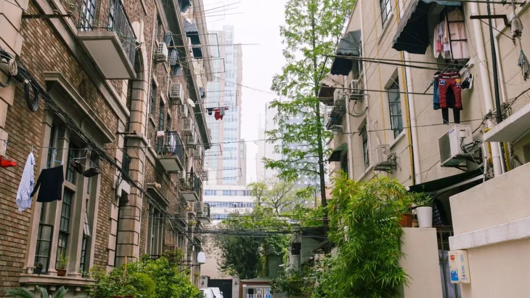 Bỏ 75 triệu/th&aacute;ng thu&ecirc; nh&agrave;, kh&ocirc;ng kết h&ocirc;n: Người phụ nữ 37 tuổi chọn "an to&agrave;n t&agrave;i ch&iacute;nh" theo c&aacute;ch kh&ocirc;ng giống ai - Ảnh 4.