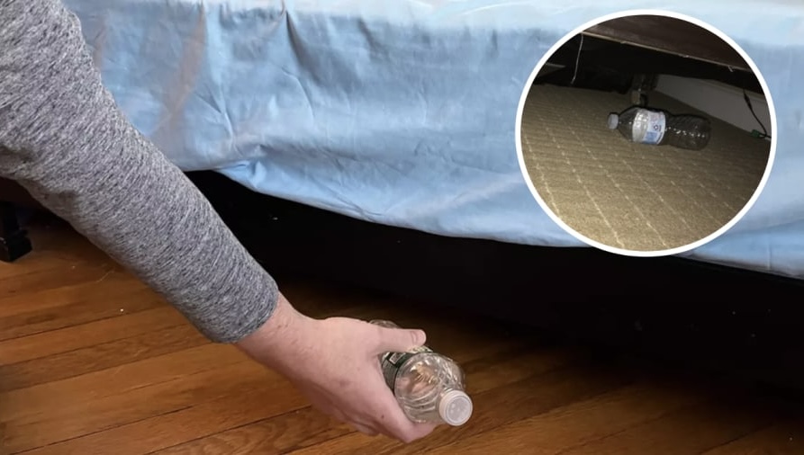 Nữ tiếp vi&ecirc;n h&agrave;ng kh&ocirc;ng tiết lộ quy tắc sinh tồn 2 gi&acirc;y: N&eacute;m chai nước v&agrave;o gầm giường ngay khi nhận ph&ograve;ng kh&aacute;ch sạn- Ảnh 3.