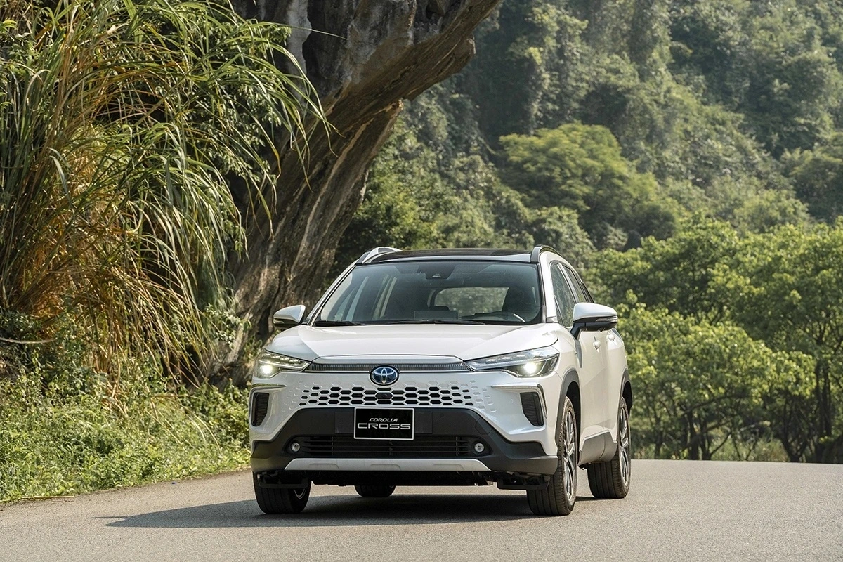 VinFast ở Việt Nam sẽ thế nào trong năm 2026? - Ảnh 1.