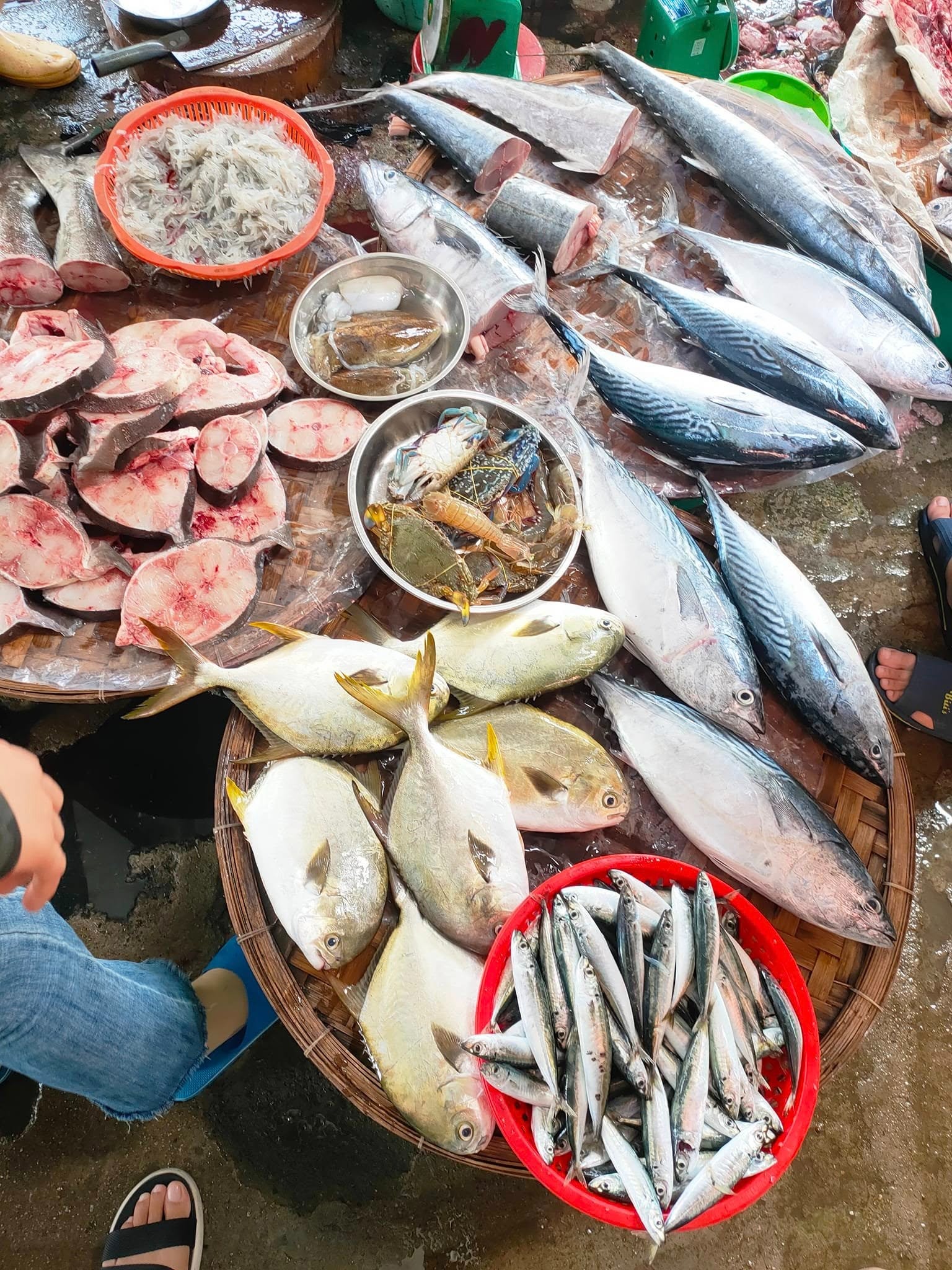 Người Bán Cá Rất Sợ Bạn Hỏi 5 Câu Này Khi Đi Chợ- Ảnh 1. Người Bán Cá Rất Sợ Bạn Hỏi 5 Câu Này Khi Đi Chợ- Ảnh 1.