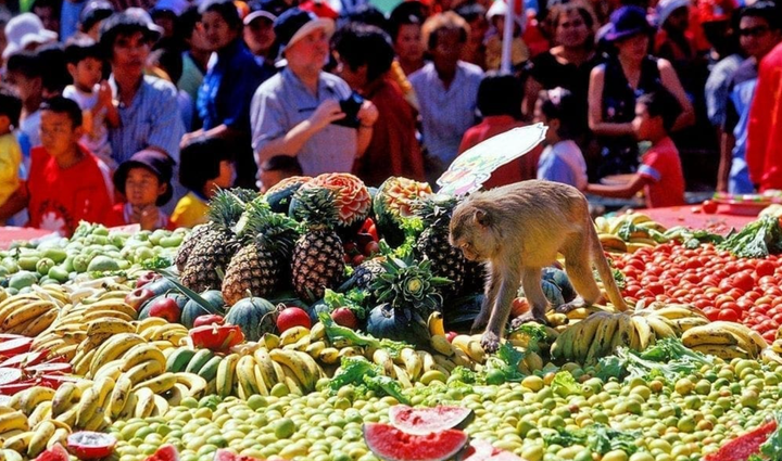 Buffet cho khỉ: Đại tiệc độc nhất vô nhị ở Thái Lan - Ảnh 1.