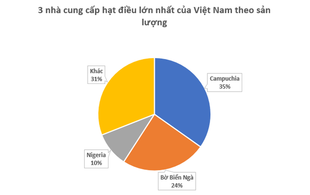 H&agrave;ng trăm ngh&igrave;n tấn h&agrave;ng từ ch&acirc;u Phi vừa đổ bộ Việt Nam: Nước ta chi hơn 4 tỷ USD mua h&agrave;ng, l&agrave; 'bảo bối' gi&uacute;p Việt Nam xuất khẩu bằng cả thế giới cộng lại - Ảnh 2.