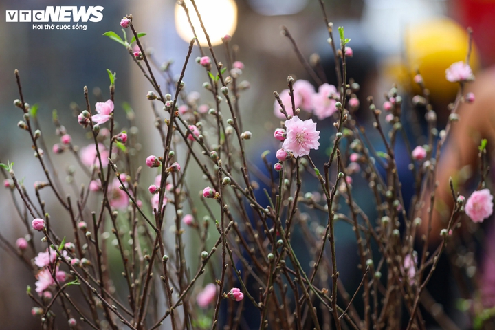 Lập xuân 2026 là ngày nào và ý nghĩa phong thủy cho năm mới - Ảnh 1.