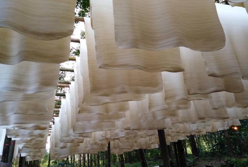 'V&agrave;ng trắng' của Việt Nam đắt h&agrave;ng tại Đ&ocirc;ng Nam &Aacute;: diện t&iacute;ch trồng hơn 900.000 ha, nước ta l&agrave; &ocirc;ng tr&ugrave;m top 5 thế giới - Ảnh 1.