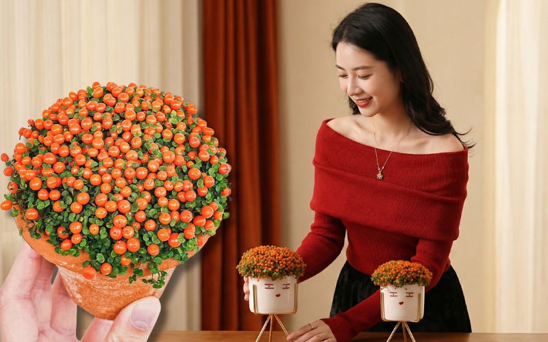 Bảo bối phong thủy cho Tết Bính Ngọ 2026: Trân châu cam – điểm nhấn tuyệt vời - Ảnh 1.