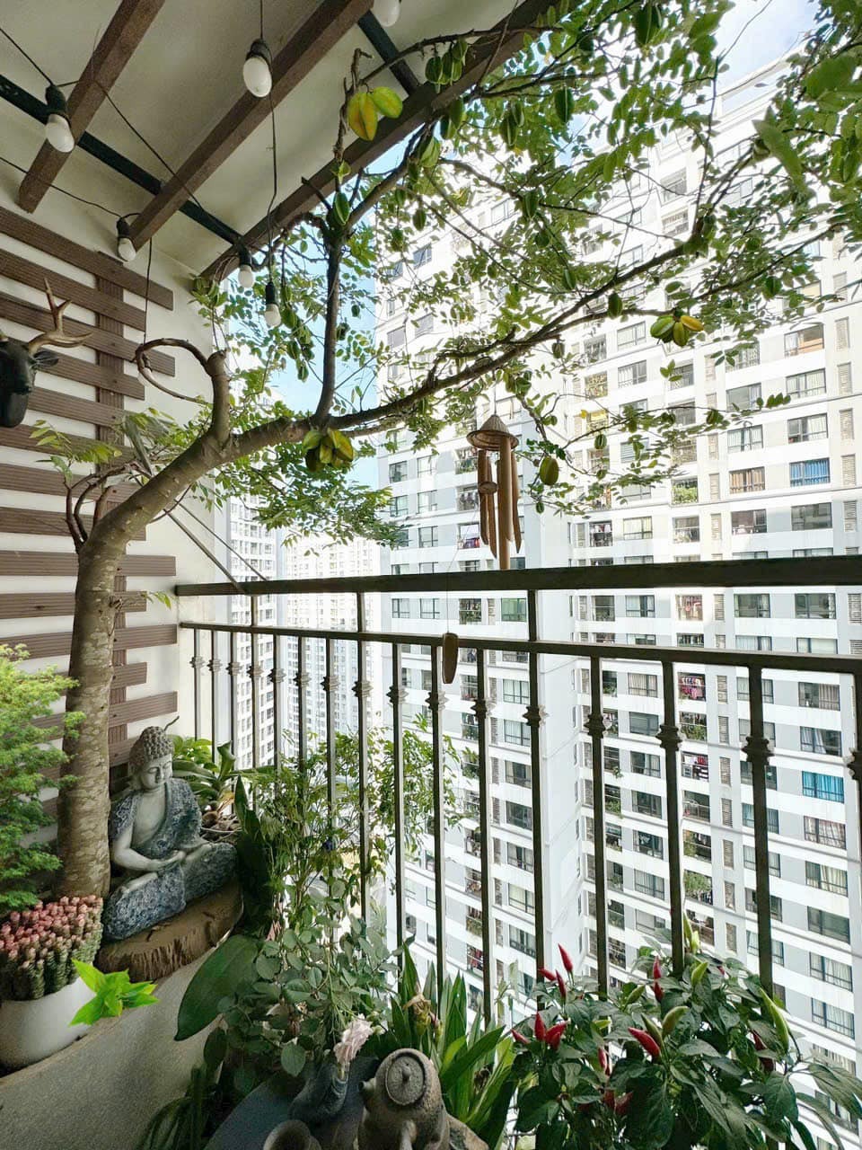 Ban c&ocirc;ng nh&agrave; gi&agrave;u thường đặt 5 loại c&acirc;y n&agrave;y để trấn giữ của cải, tiền bạc ở lại l&acirc;u hơn- Ảnh 6.