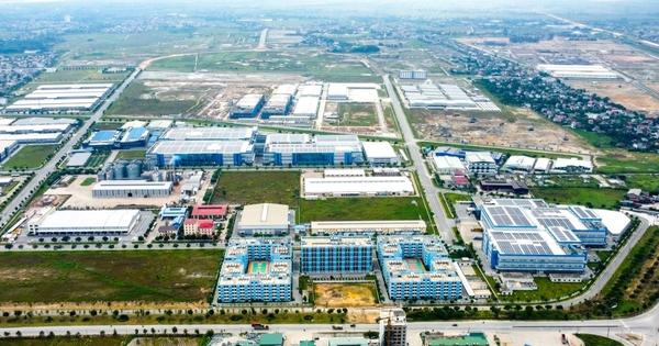 Một 'mỏ v&agrave;ng' của Việt Nam hốt bạc từ T&acirc;y sang Đ&ocirc;ng: thu về hơn 2 tỷ USD, cả thế giới nu&ocirc;i nhưng chỉ nước ta tạo ra ng&agrave;nh c&ocirc;ng nghiệp - Ảnh 2.