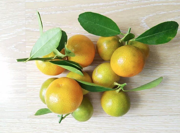 Cam 2 1768899184192 17688991853311036416592