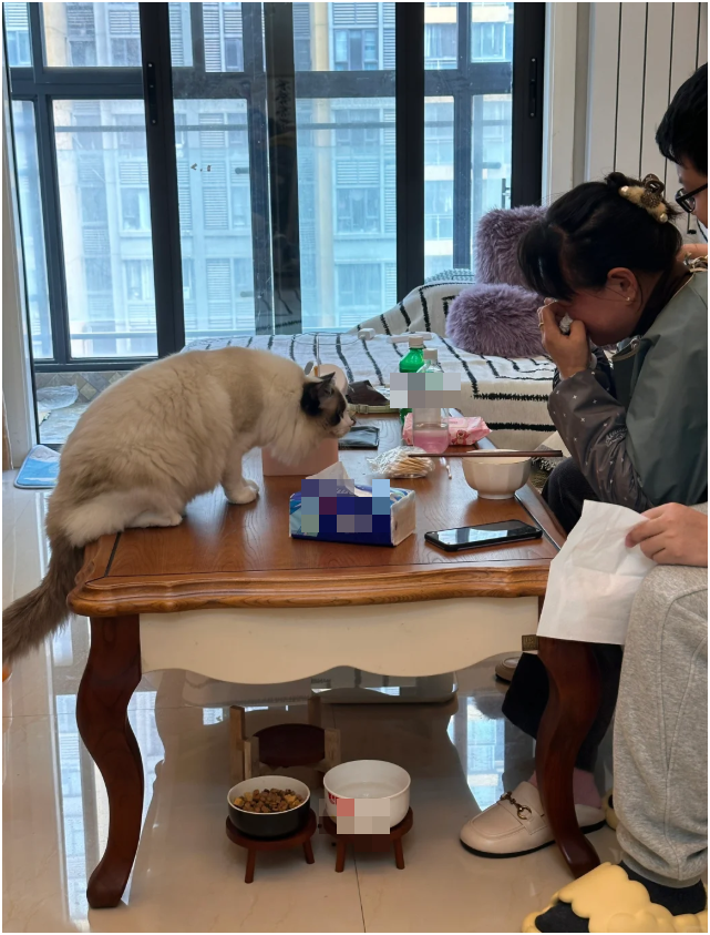 Kh&aacute;ch mang 13,7 tỷ đồng tiền đền b&ugrave; đất đi gửi tiết kiệm, 2 năm ph&aacute;t hiện đ&atilde; mua bảo hiểm, nh&acirc;n vi&ecirc;n ng&acirc;n h&agrave;ng chỉ n&oacute;i đ&uacute;ng 5 từ- Ảnh 1.