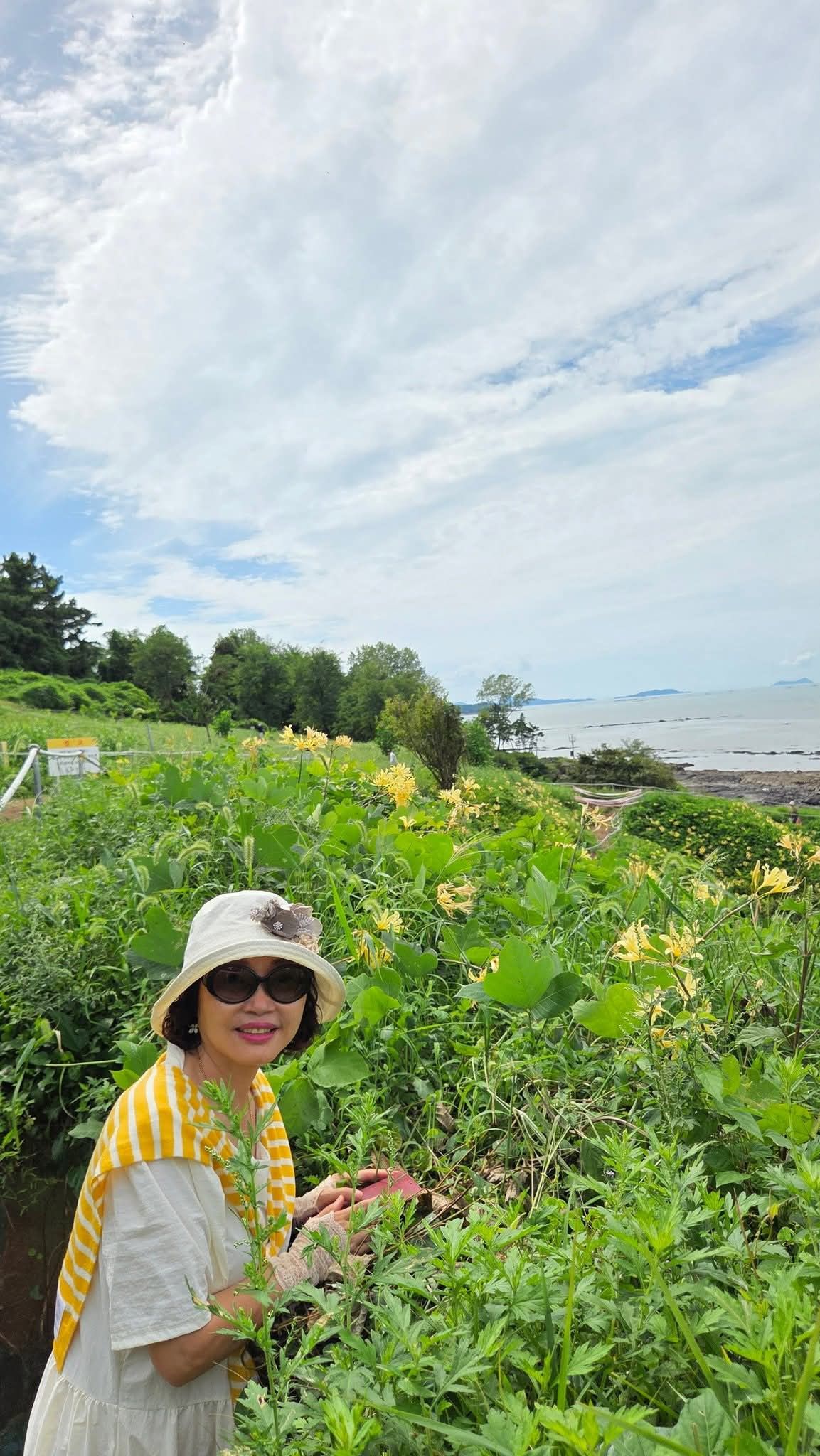 50 tuổi, t&ocirc;i đ&atilde; sẵn s&agrave;ng nghỉ hưu nhờ 2 triệu/th&aacute;ng suốt 5 năm đổi lại sự chủ động cho phần đời c&ograve;n lại- Ảnh 3.