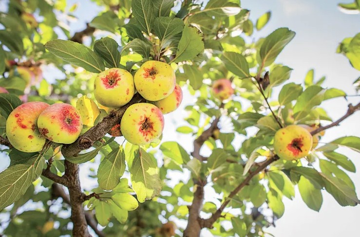 Tao 1768899192377 1768899192718253732011