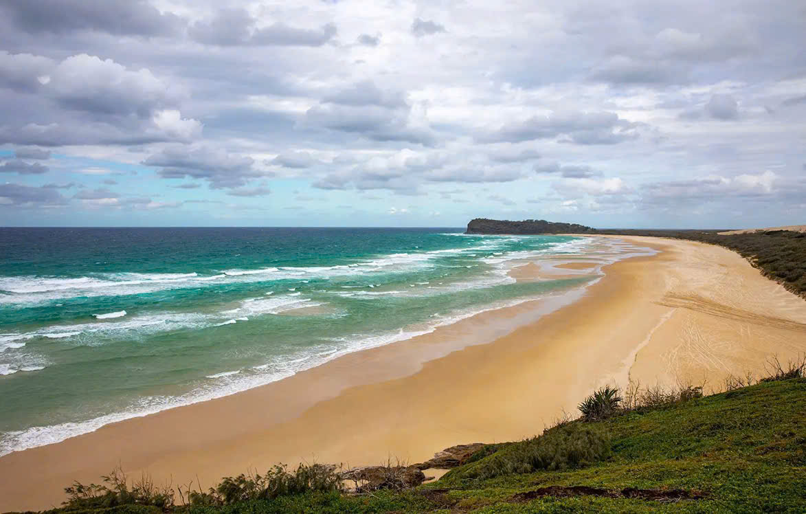 C&ocirc; g&aacute;i 19 tuổi tử vong b&iacute; ẩn tr&ecirc;n b&atilde;i biển giữa 10 con ch&oacute; hoang - Ảnh 1.