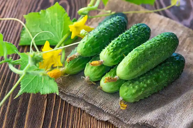 6 Loại Rau Tốt Nhất Đừng Vội Cho Vào Tủ Lạnh, Bác Sĩ Khuyên Để Nhiệt Độ Phòng Vẫn Là 