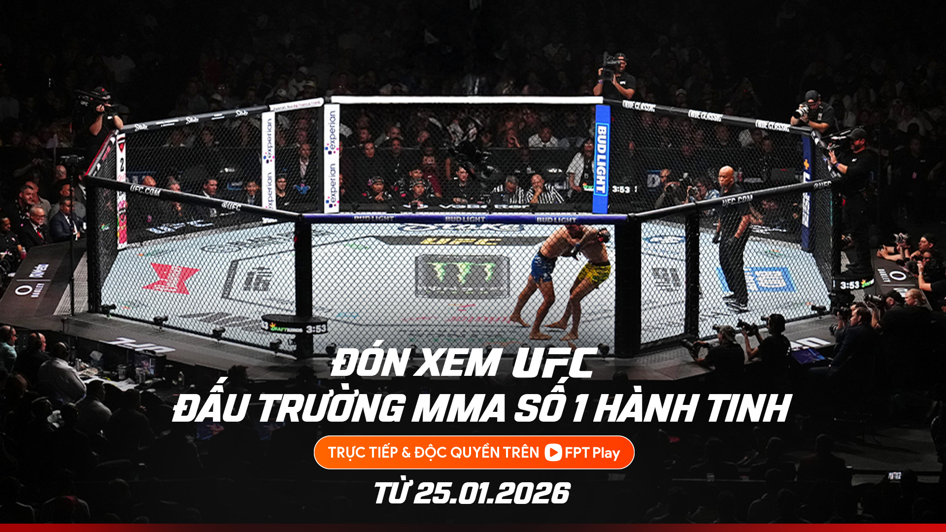 Khán giả Việt Nam có nhiều cơ hội thưởng thức UFC - Ảnh 3.