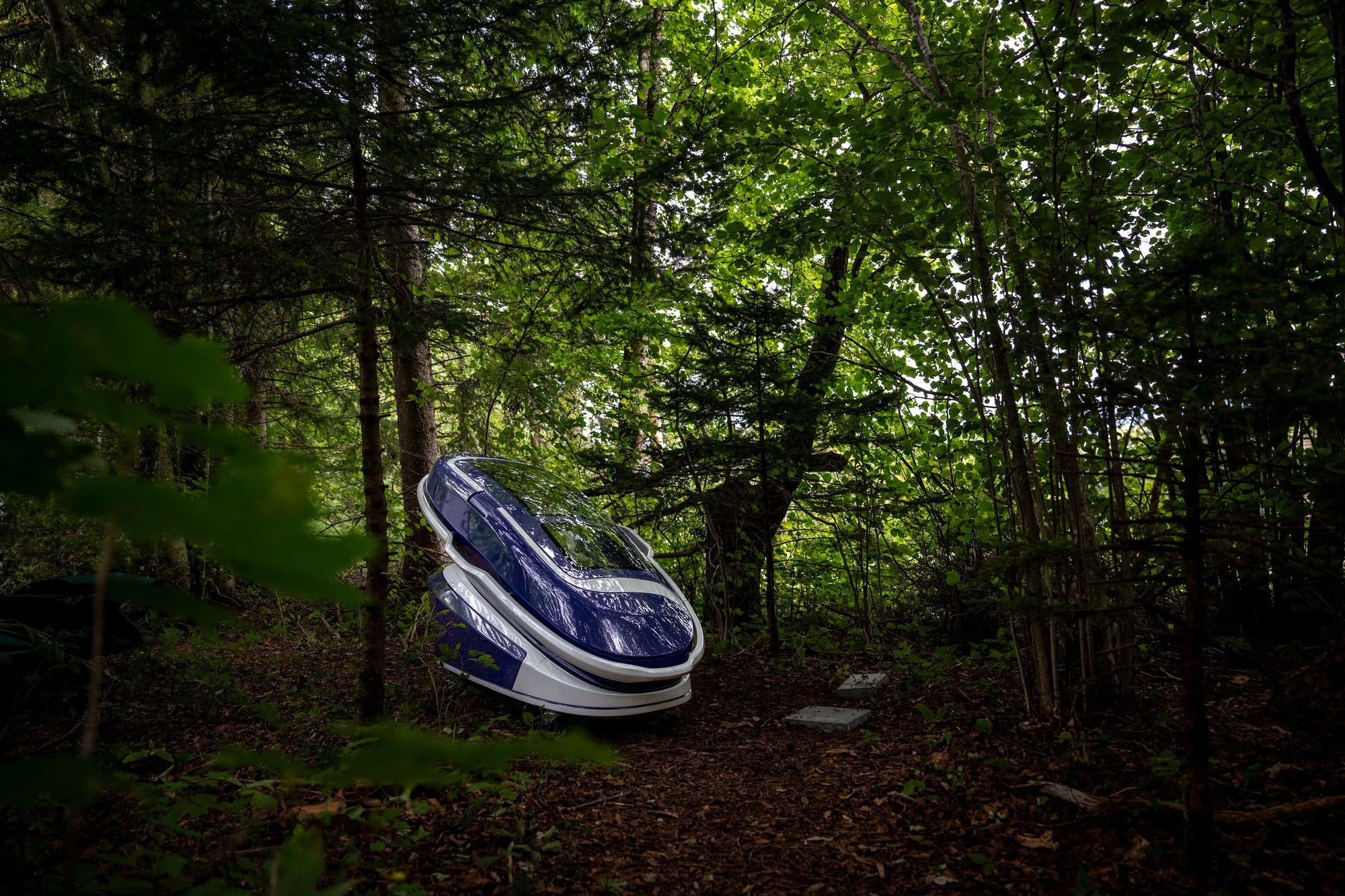 Tranh Cãi Việc Buồng Tự Sát Sarco Dùng Ai Đánh Giá Tâm Lý Để Quyết Định Sự Sống Chết Tranh Cãi Việc Buồng Tự Sát Sarco Dùng Ai Đánh Giá Tâm Lý Để Quyết Định Sự Sống Chết - Ảnh 3.