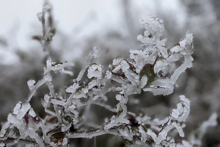 Tiết Đại h&agrave;n 2026 v&agrave; thời gian kết th&uacute;c: Những điều cần biết về m&ugrave;a đ&ocirc;ng miền Bắc - Ảnh 1.
