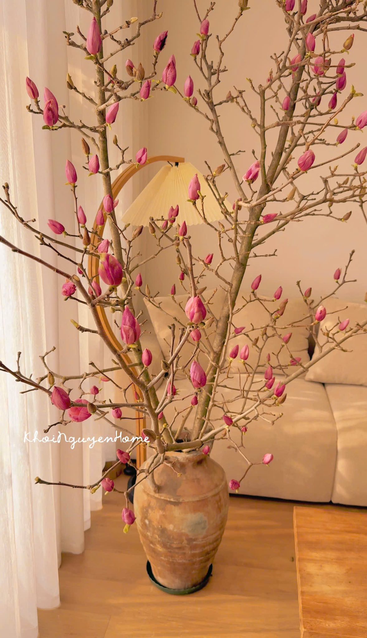 Lo&agrave;i hoa Tết hot nhất 2026: Mộc lan đẹp m&ecirc; hồn cho kh&ocirc;ng gian sống - Ảnh 16.