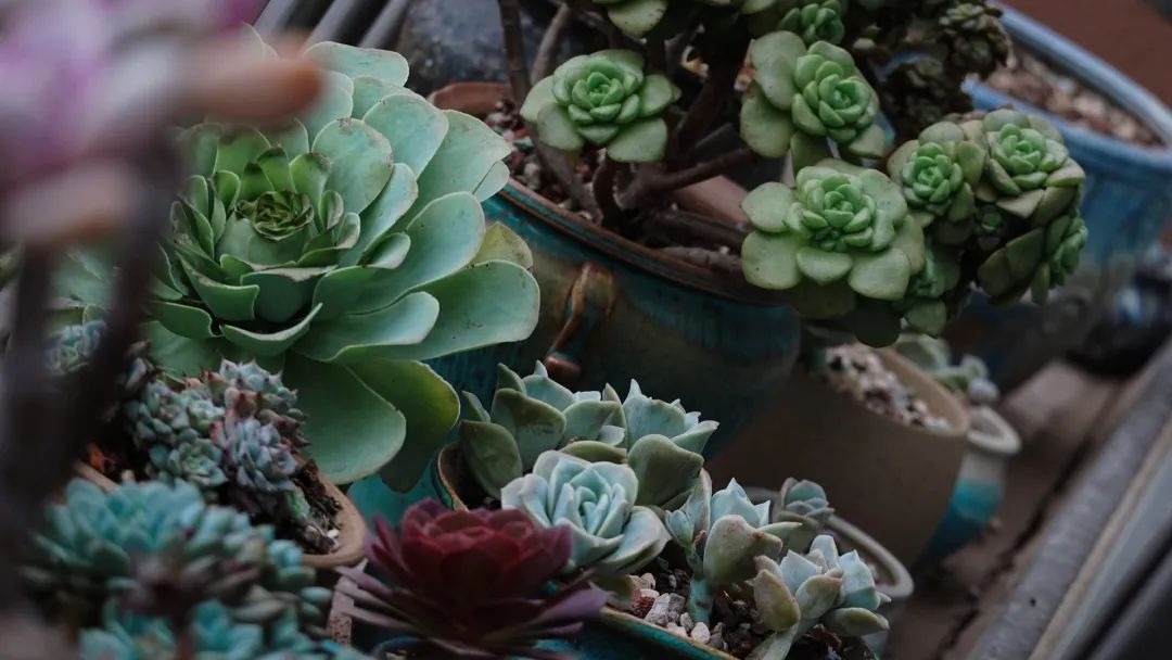 BTV kỳ cựu rời đài truyền hình vì áp lực: Dốc sạch tiền mua nhà "chữa lành", sống 1 mình hạnh phúc - Ảnh 7. BTV kỳ cựu rời đài truyền hình vì áp lực: Dốc sạch tiền mua nhà "chữa lành", sống 1 mình hạnh phúc - Ảnh 7.