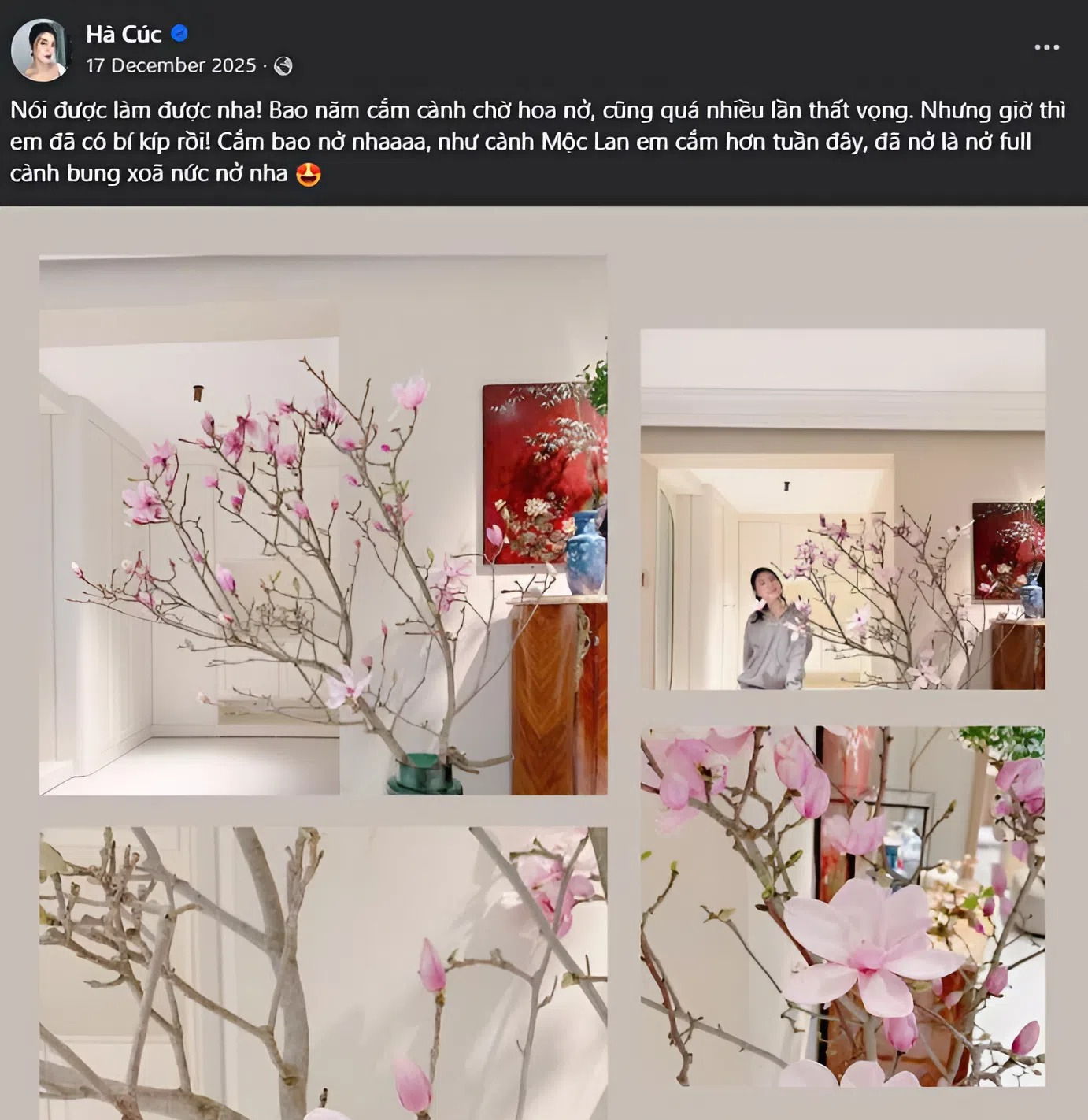 Lo&agrave;i hoa Tết hot nhất 2026: Mộc lan đẹp m&ecirc; hồn cho kh&ocirc;ng gian sống - Ảnh 8.