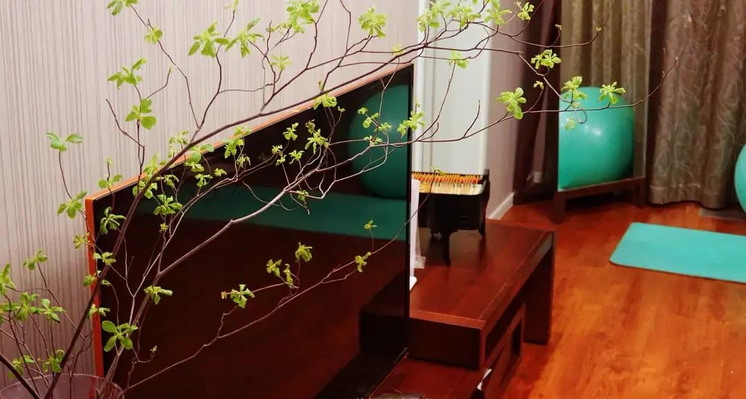 BTV kỳ cựu rời đài truyền hình vì áp lực: Dốc sạch tiền mua nhà "chữa lành", sống 1 mình hạnh phúc - Ảnh 14. BTV kỳ cựu rời đài truyền hình vì áp lực: Dốc sạch tiền mua nhà "chữa lành", sống 1 mình hạnh phúc - Ảnh 14.